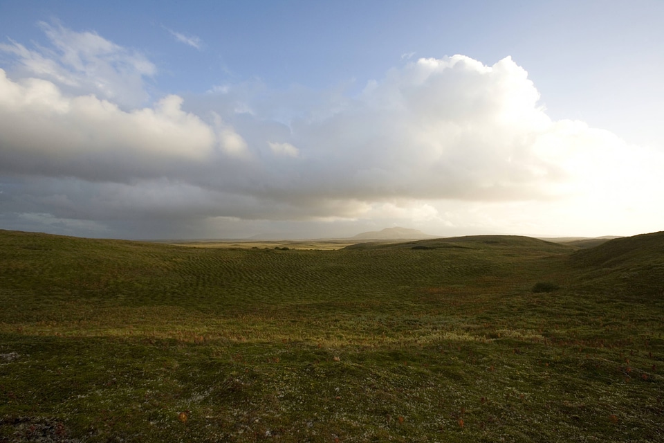 Tundra with mountains in background at Izembek Natiional Wildlife Refuge