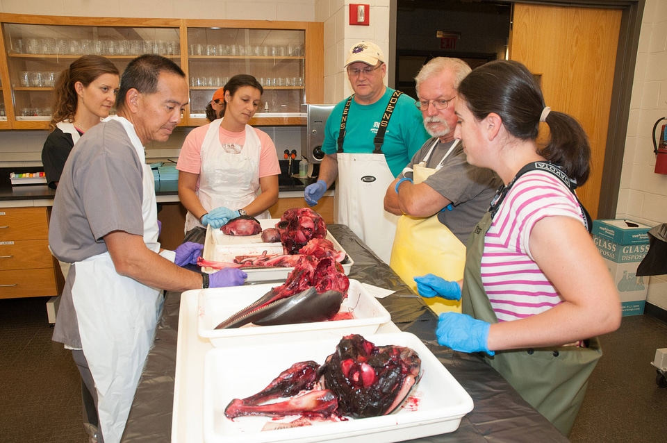 Marine Mammal Stranding Course at NCTC-1
