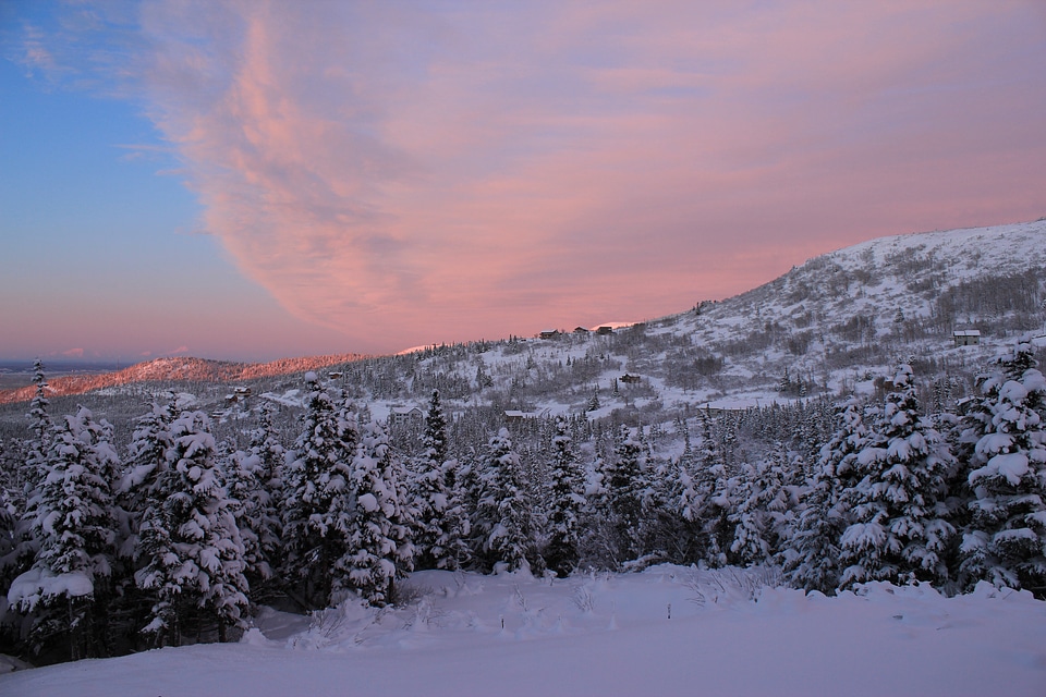 Woods valley landscape