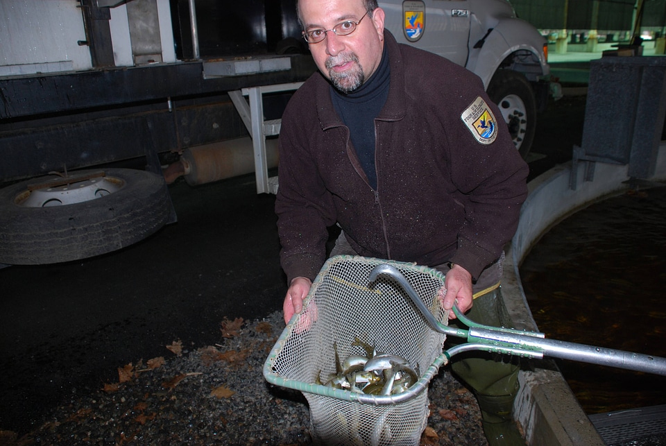 USFWS employee with net full of Salmon