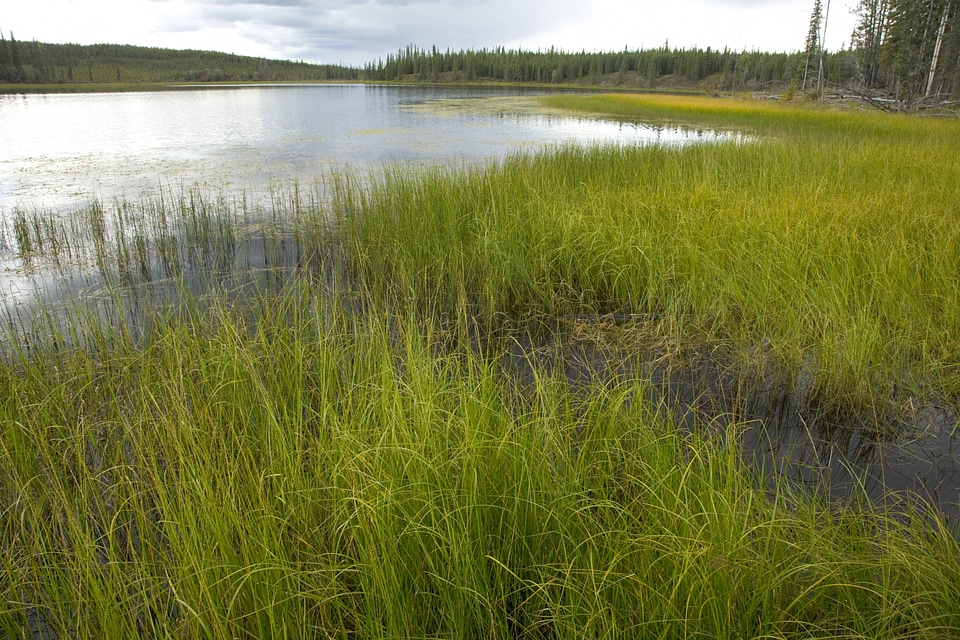 Lake at Tetlin National Wildlife Refuge-1
