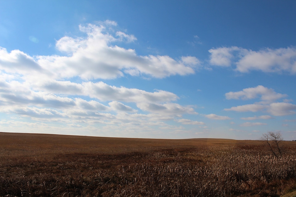 Wet easement at Long Lake Wetland Management District-3