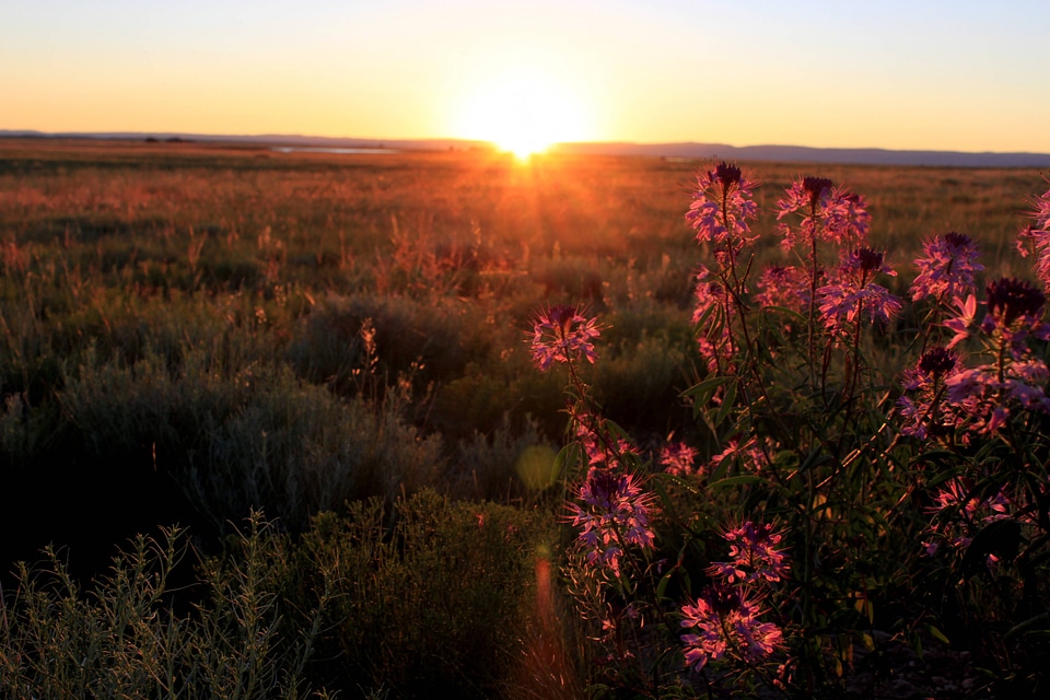Dawn at Mortenson Lake National Wildlife Refuge