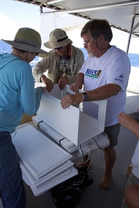 Nihoa Millerbird Translocation-1