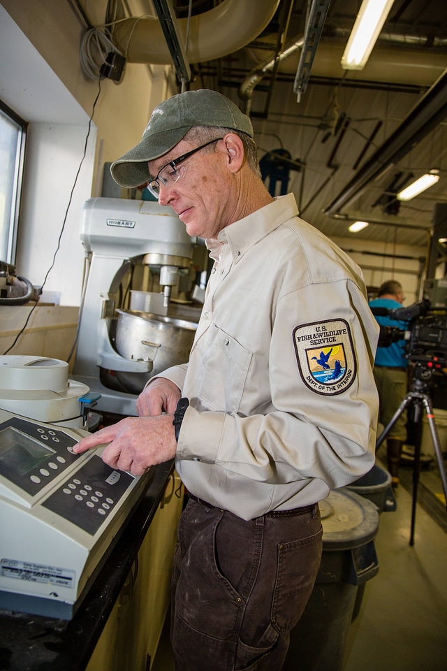 Fish Nutritionist dries and inspects fish food-1