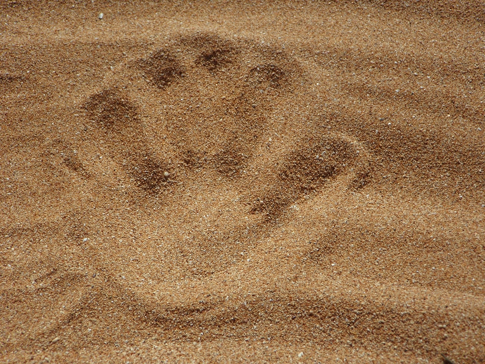 Reprint hand handprint