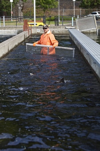 Service employee in raceway-3