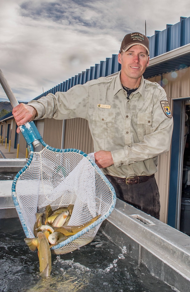 FWS personnel loading Gila Trout onto Fish transportation truck at Mora National Fish Hatchery-1