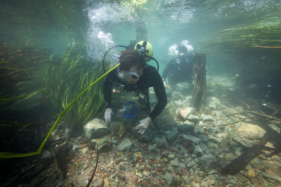Divers search San Marcos River-4