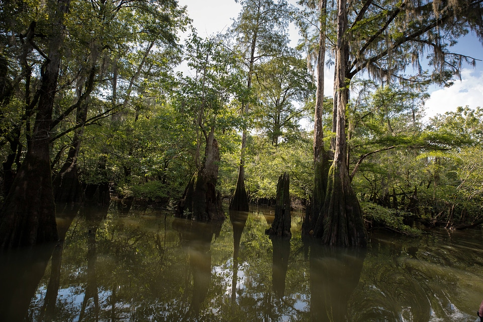 Choctawhatchee River-4