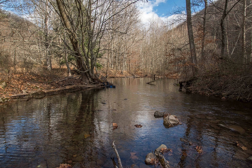 Photographer taking underwater pictures of brook trout in Seneca Creek-2
