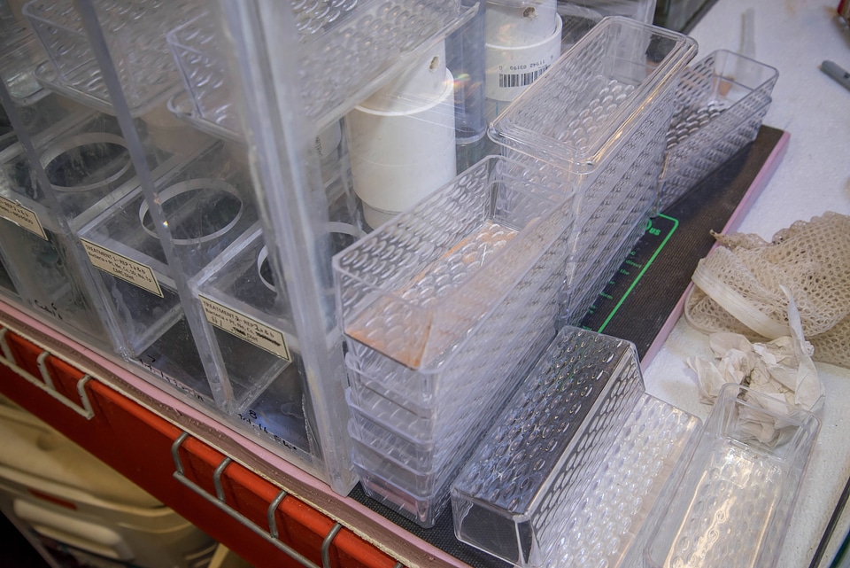 Mussel propagation equipment-2
