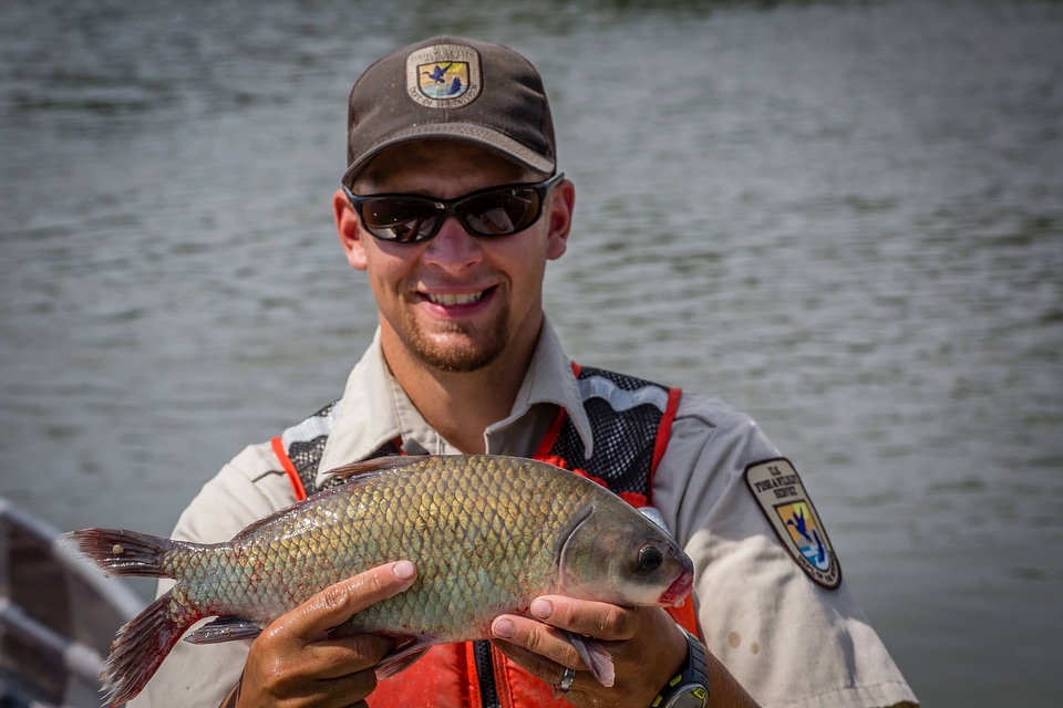 Fishery biologist with Smallmouth Buffalo
