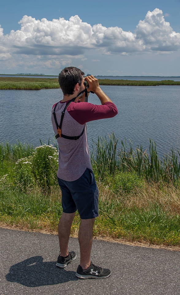 Birdwatcher with binoculars looks at wetland