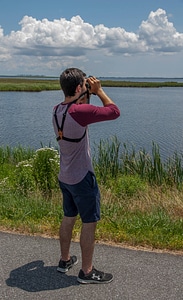 Birdwatcher with binoculars looks at wetland photo