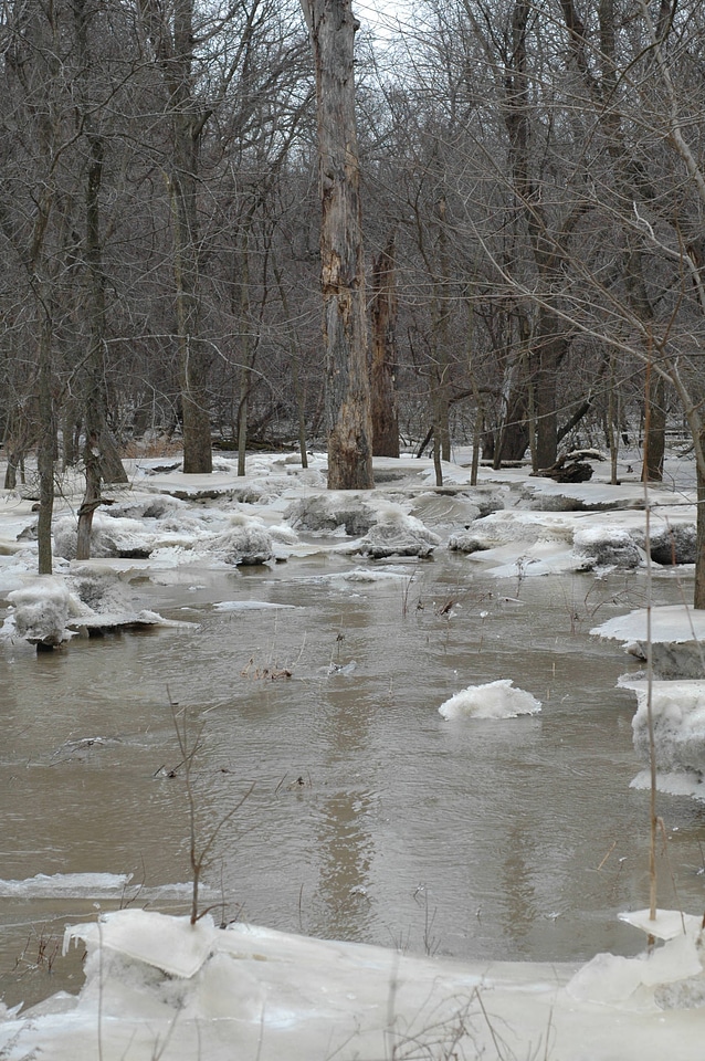 Ice covers part of a flooded stream