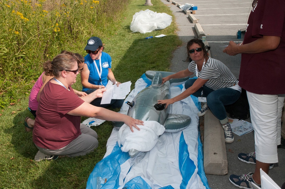 Marine Mammal Stranding Course at NCTC-1