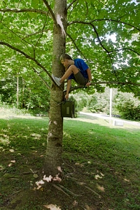 Student Echolocation Researcher-1