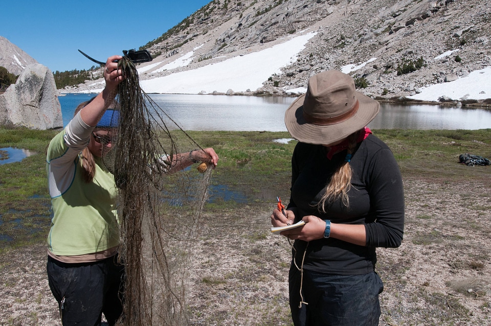 Biologists retrieve seine nets-2