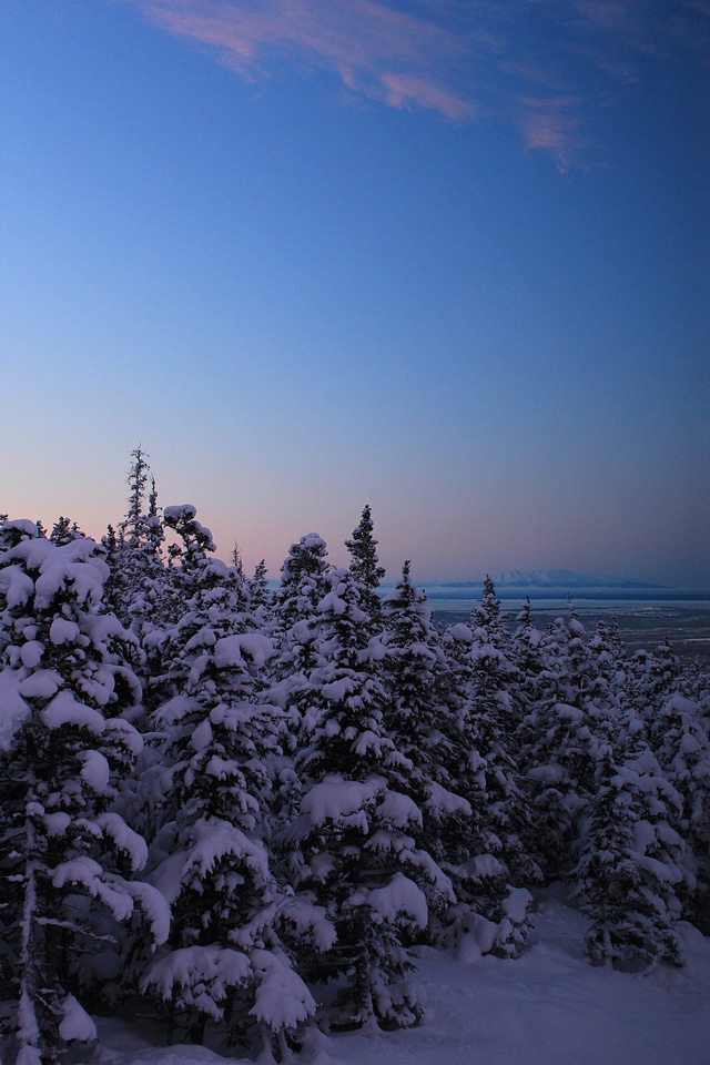 Bear valley snowy ice
