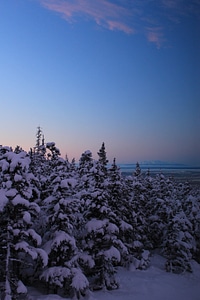 Bear valley snowy ice