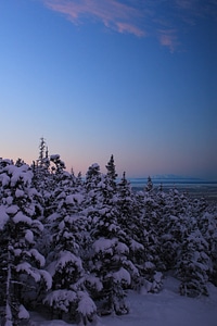 Bear valley snowy ice photo