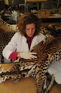 Ashland Forensics Lab-8