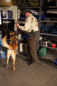 Law enforcement with K-9-2