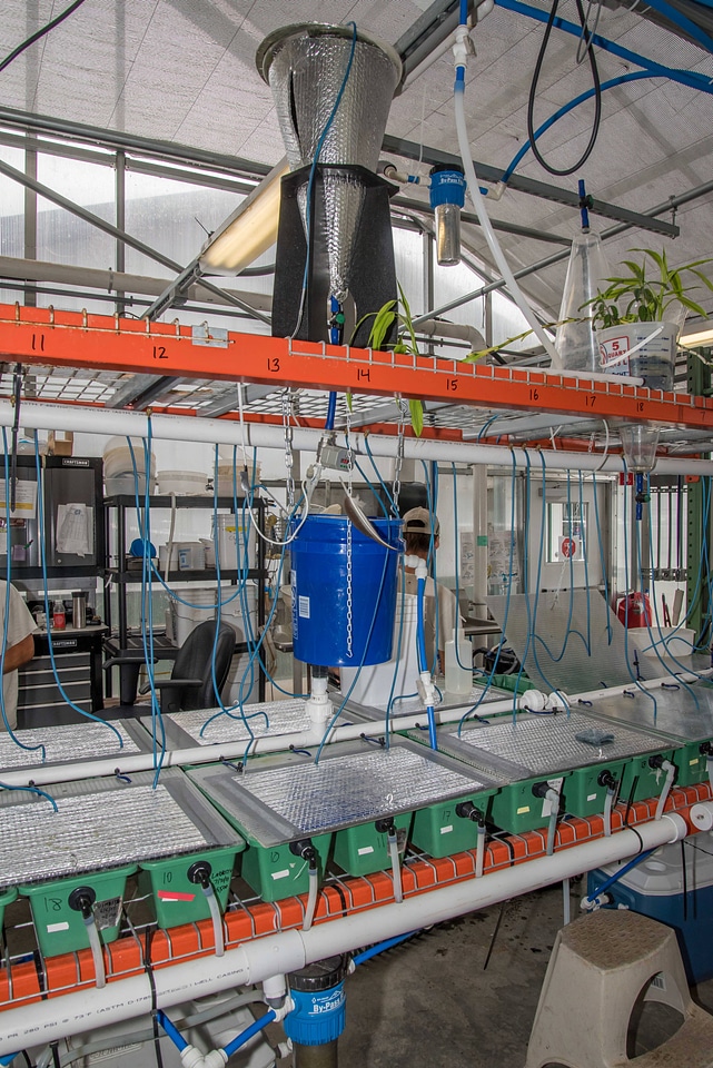 Mussel propagation equipment-1