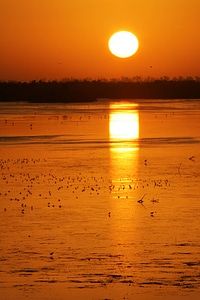 Sunrise at J.N. 'Ding' Darling NWR-11