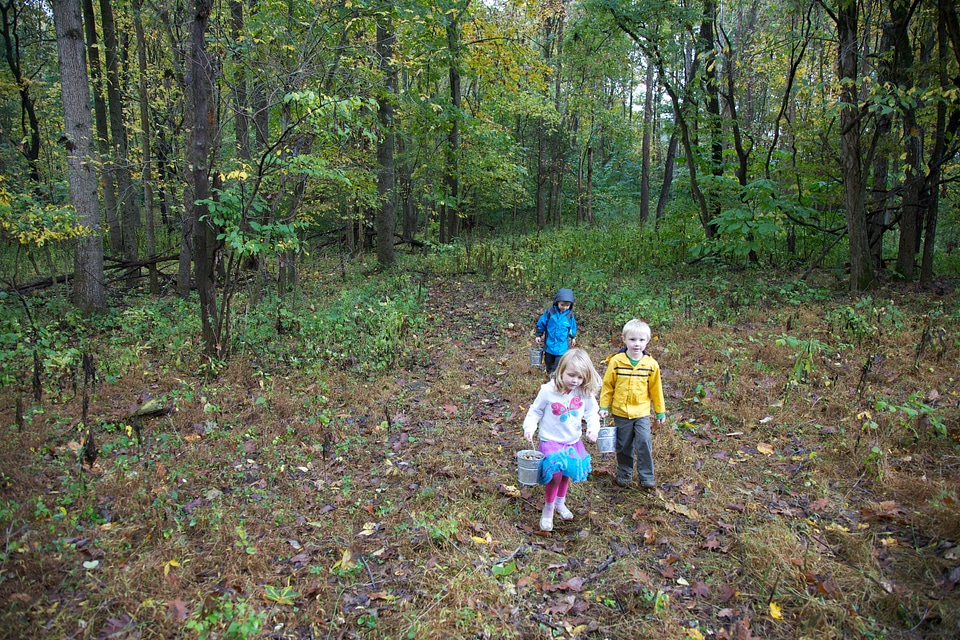 Children gathering acorns