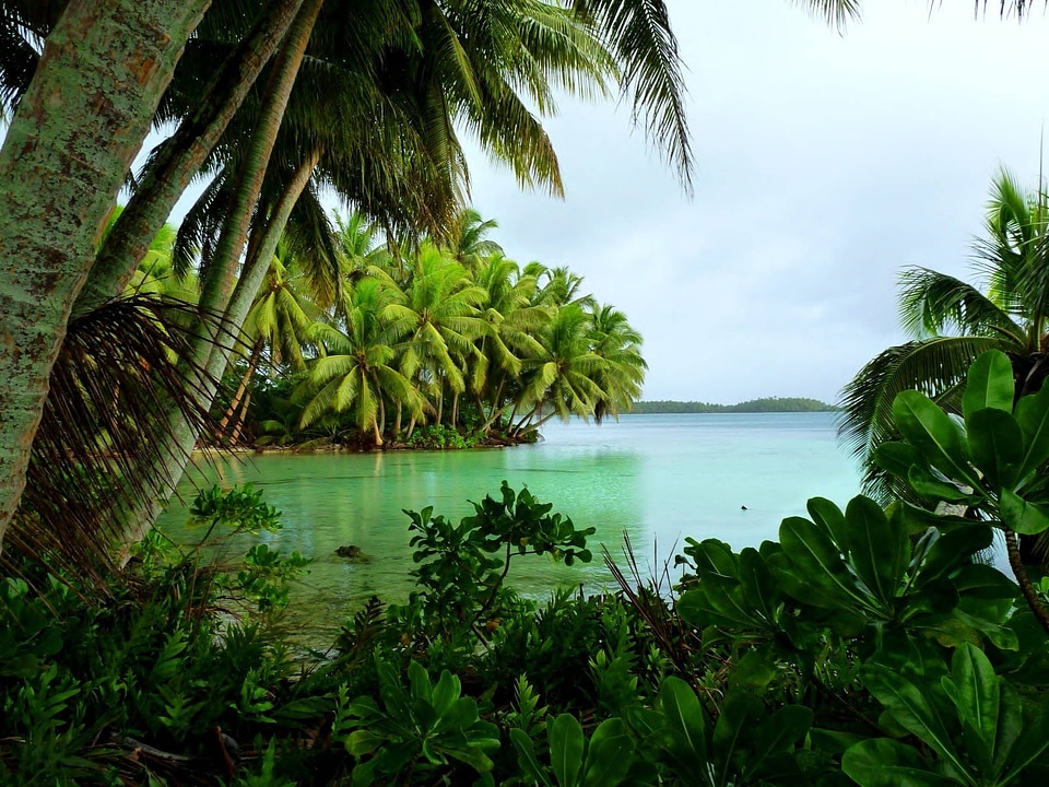 Strawn Island at Palmyra Atoll National Wildlife Refuge