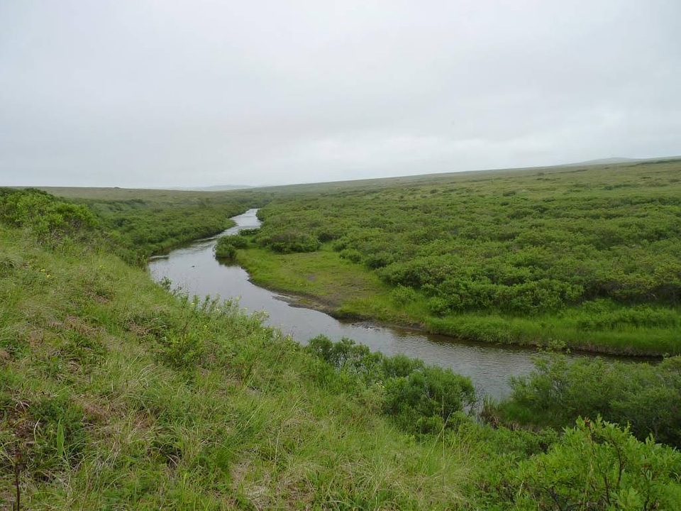 Allen Creek in Andreafsky Wilderness