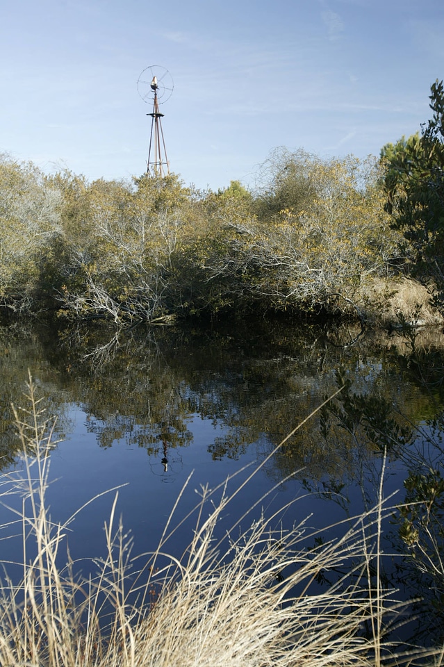Windmill in the distance at Chincoteague National Wildlife Refuge