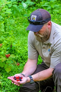 NCTC land management specialist with handful of wineberries and blackberries-1