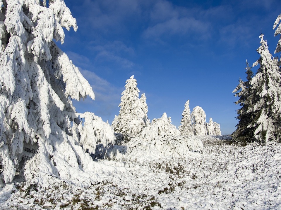 Landscape nature hoarfrost
