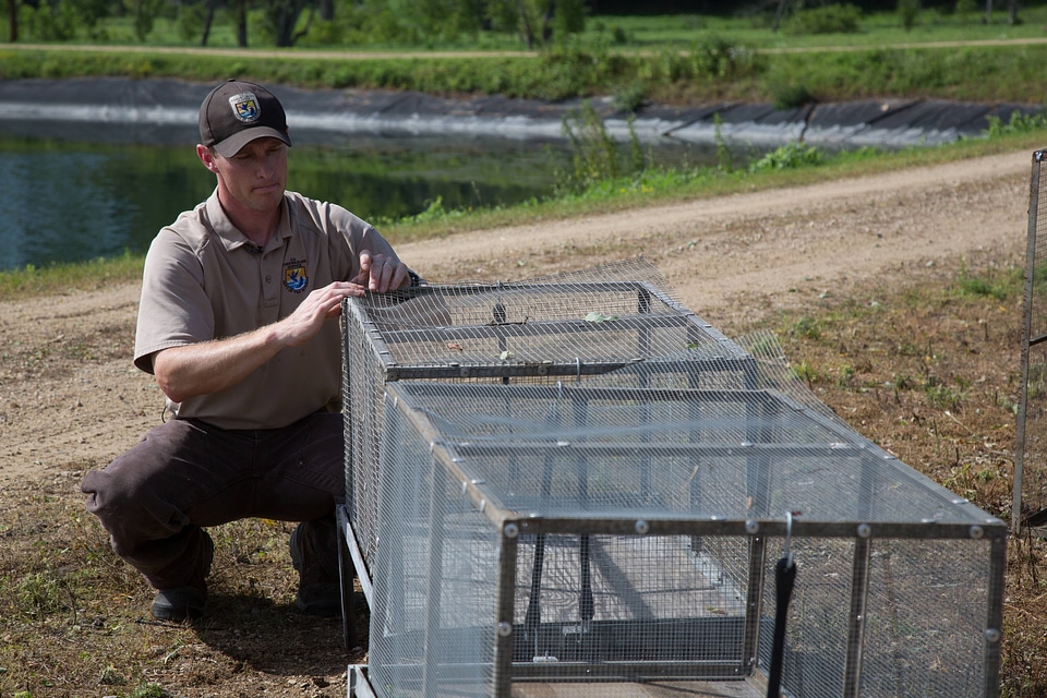 Biologist inspects host fish cages-1