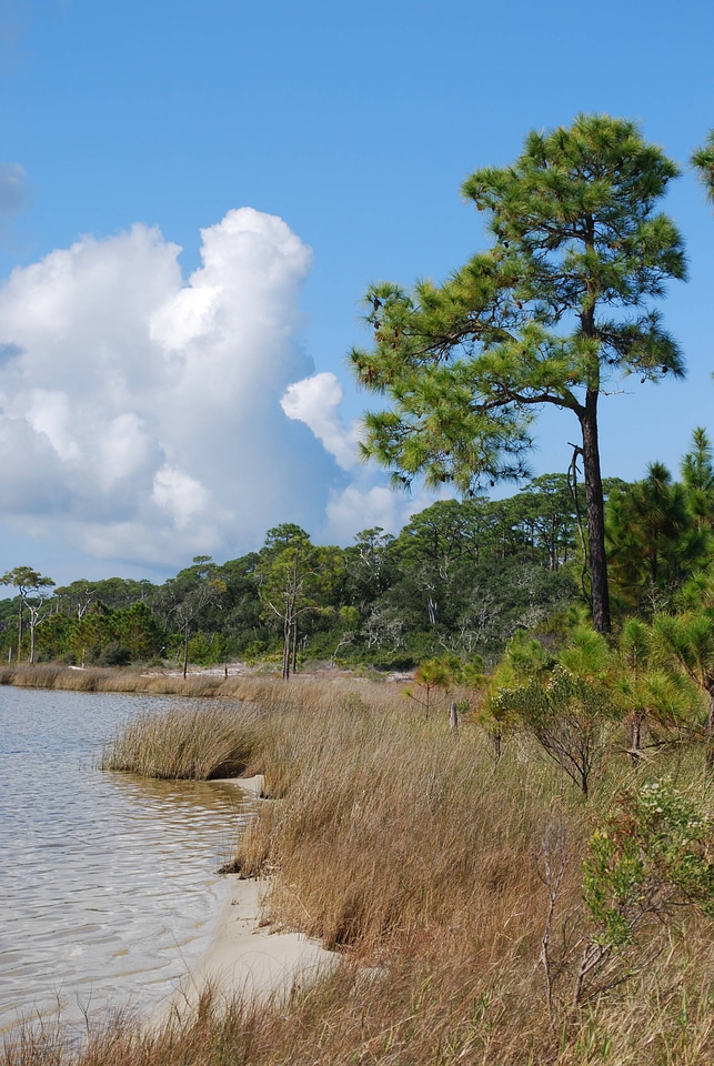 Scenic view of Bon Secour National Wildlife Refuge-2