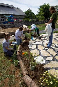 Planting flowers in new outdoor classroom-3
