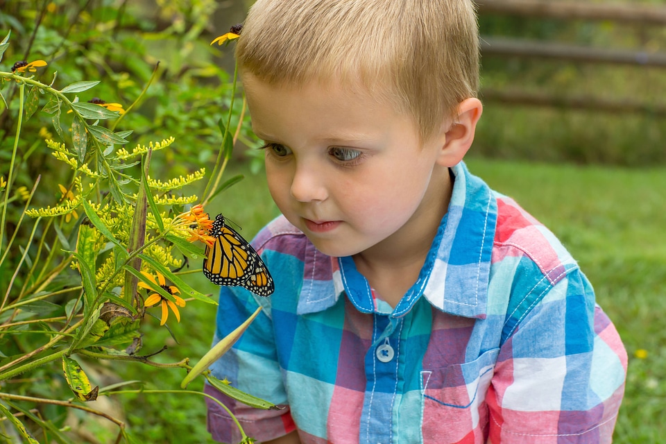 Little boy with monarch butterfly-2