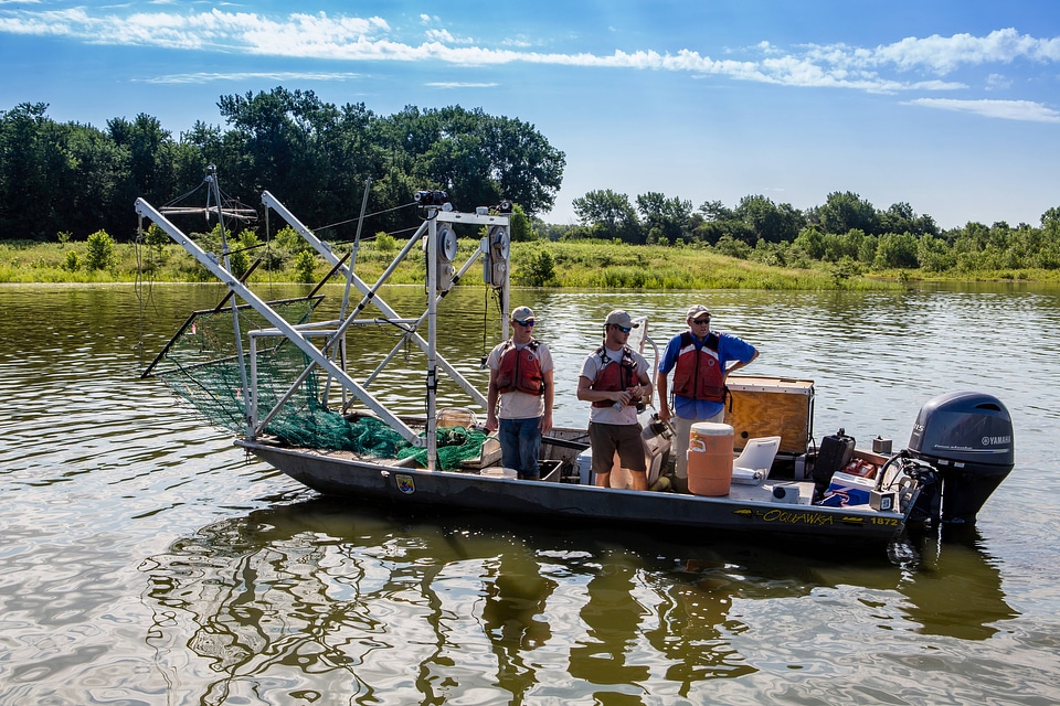 Specialized carp catching boat with dozer trawl