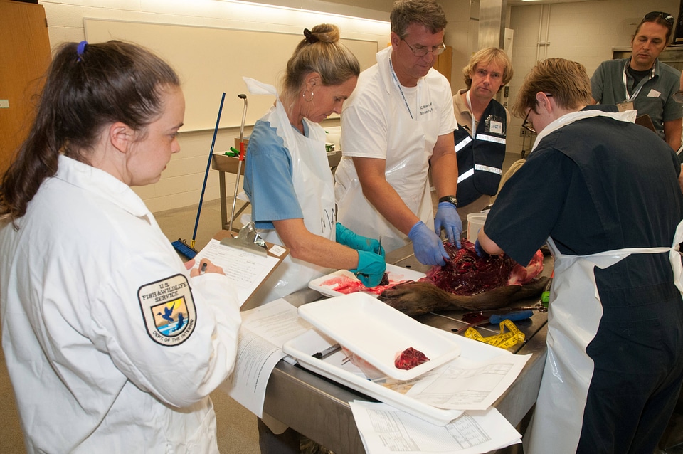 Marine Mammal Stranding Course at NCTC-3