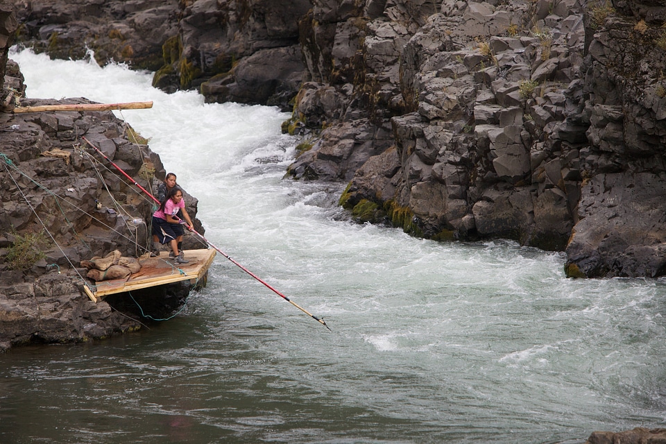 Traditional dip netting-6