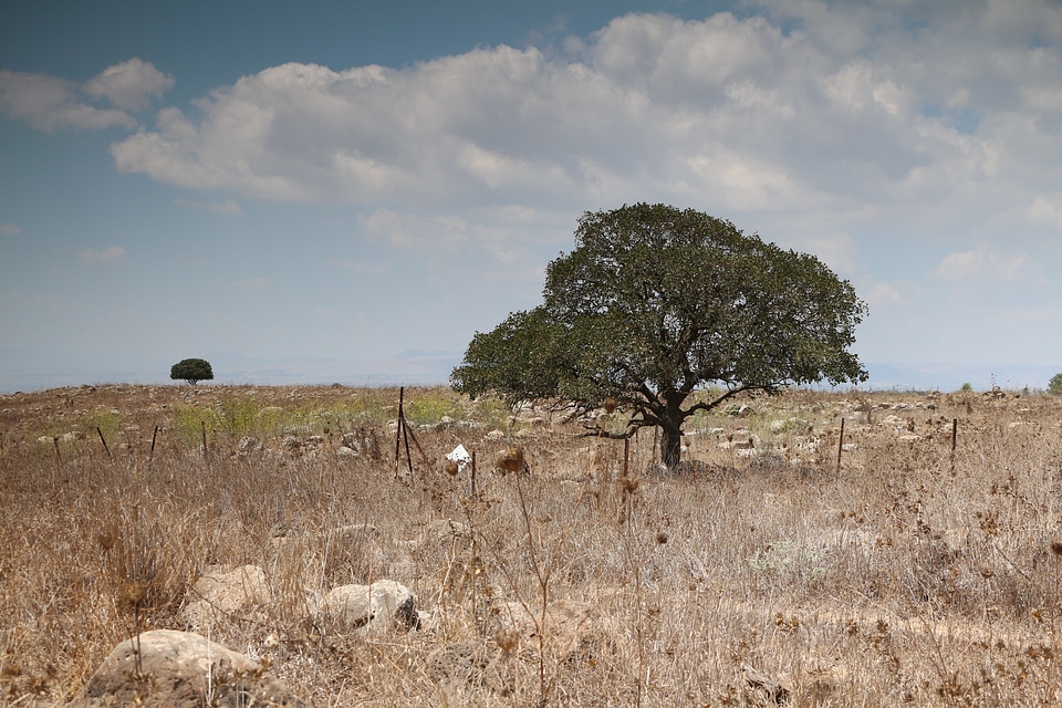 Landscape wilderness scenery