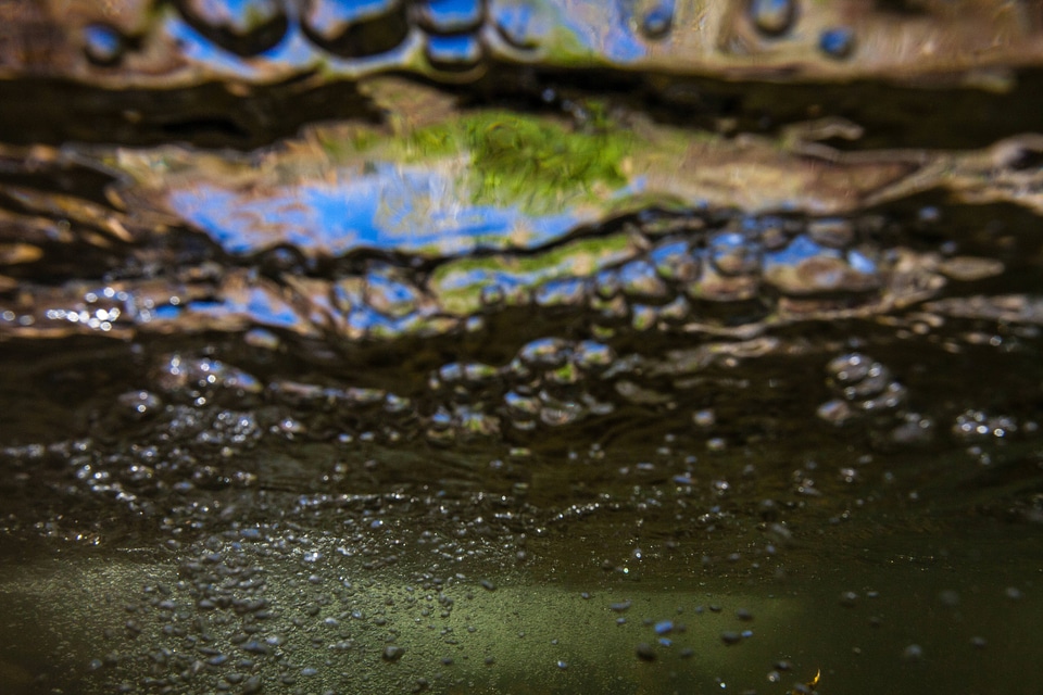 Underwater view of stream