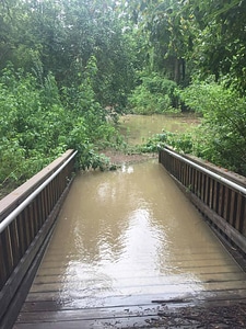 Boardwalk to Lake Anahuac photo