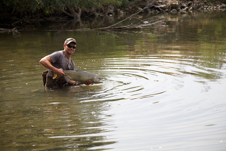 Angler holds a Fall Chinook salmon