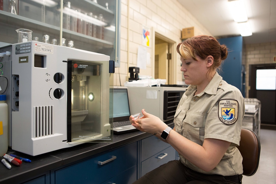 FWS biologist tests a blood sample from a grass carp-1