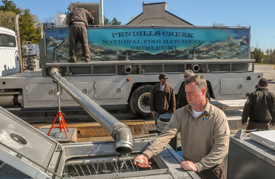 FWS staff loading juvenile lake trout onto MV Spencer Baird-2