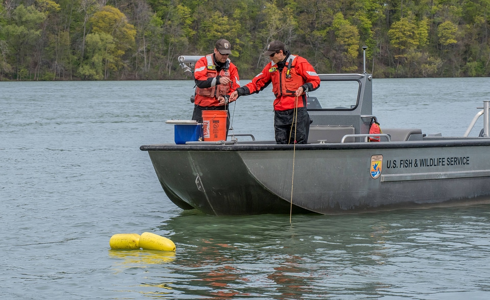USFWS Fisheries crew in boat preparing for lake sturgeon field work-3